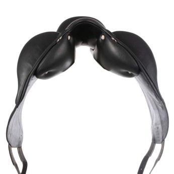 Antarès Dressage Tempo 17.5" 2C