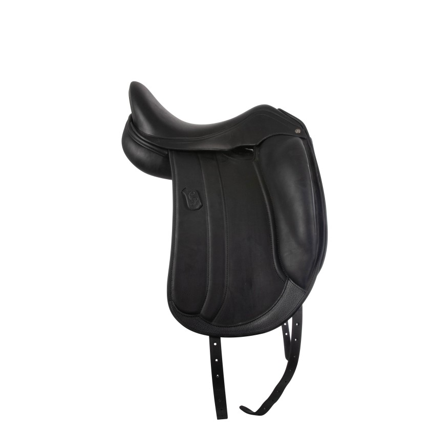 Antarès Dressage Carlos Pinto 16" 3N