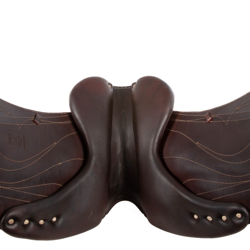 Antares Dressage Alliance 17 3D