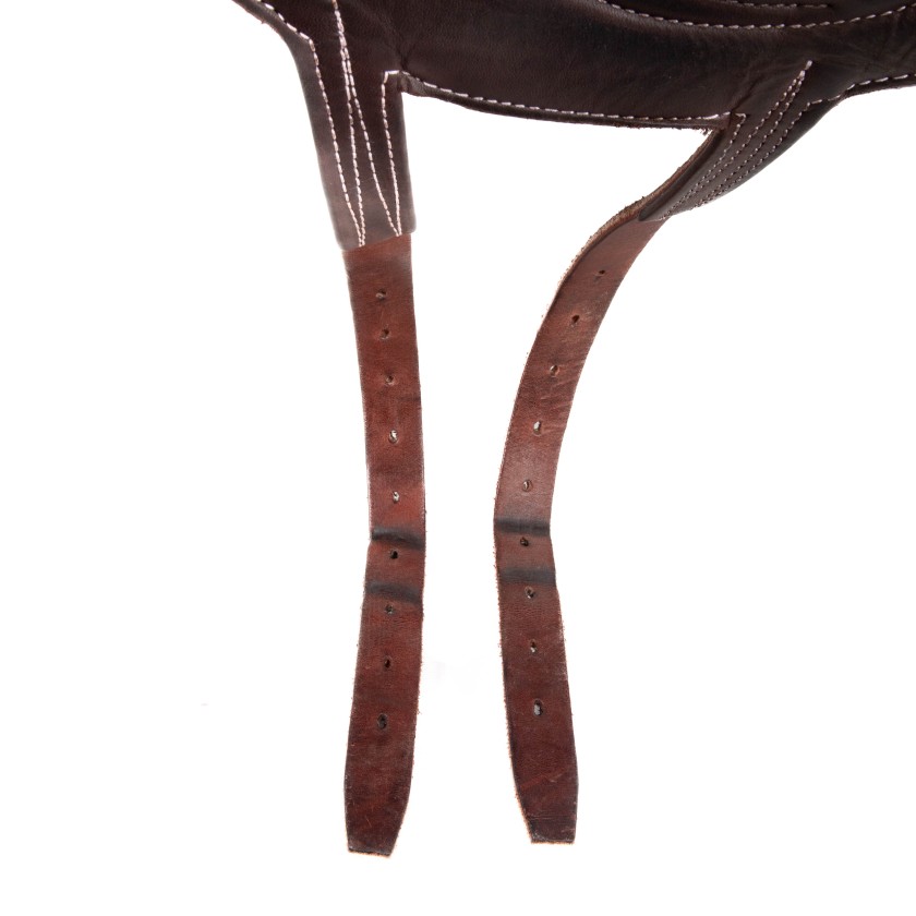 Antarès Dressage Cadence 17" 1R