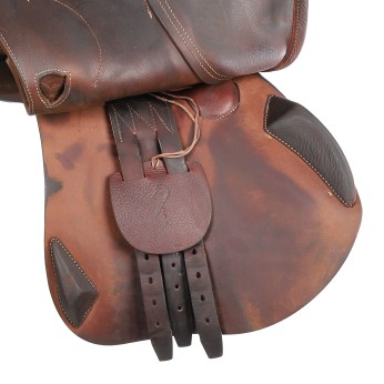 Antarès jumping saddle Evolution-D 17,5 3AA