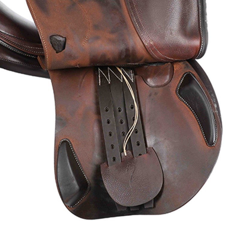 Antarès jumping saddle Evolution-D 17"5 3N