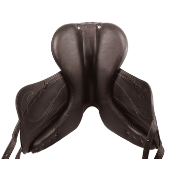 Antarès dressage saddle Alliance 19" 2N