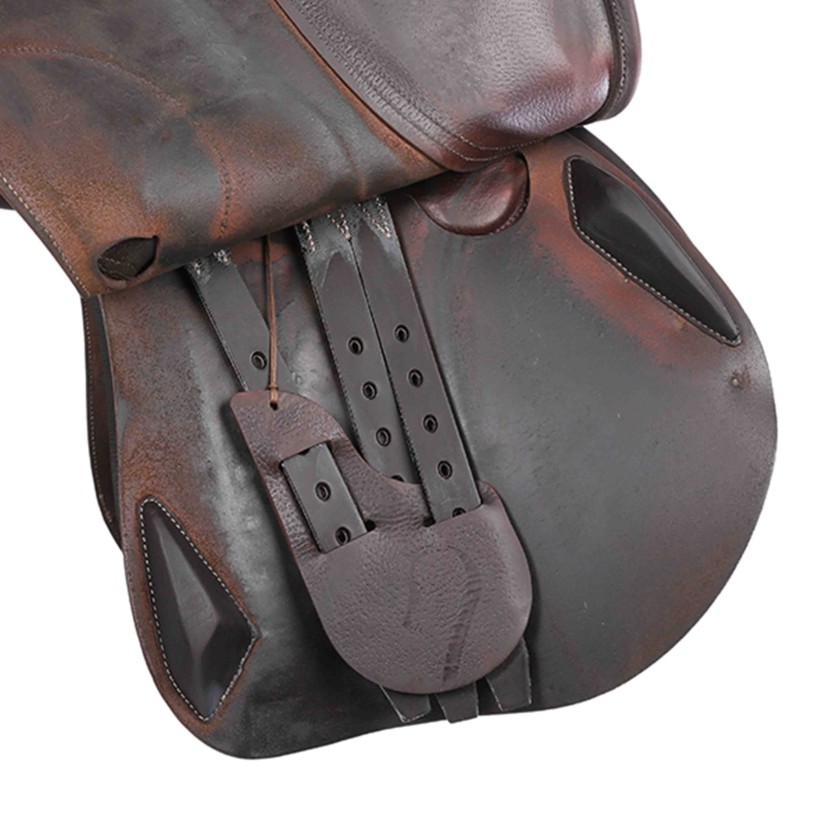 Antarès jumping saddle Evolution-D2 17"5 3A