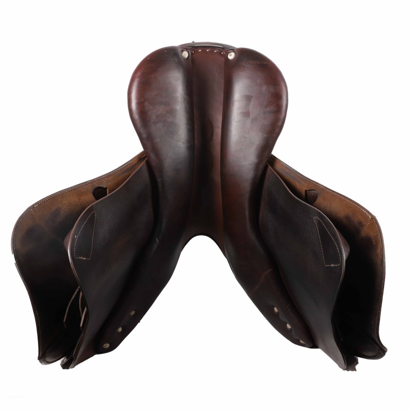 Antarès jumping saddle Evolution2 17"5 3A