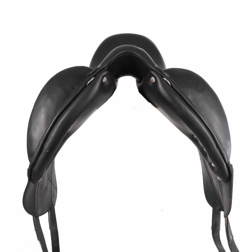 Antarès dressage saddle Tempo 17"5 3C