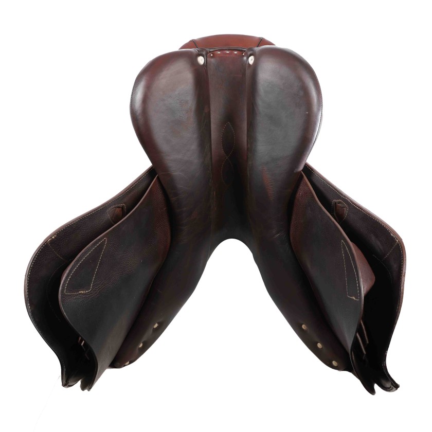 Antarès jumping saddle Evolution-D2 17"5 3AA