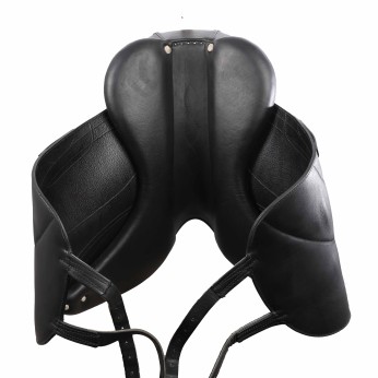 Antarès dressage saddle Tempo 17"5 4N