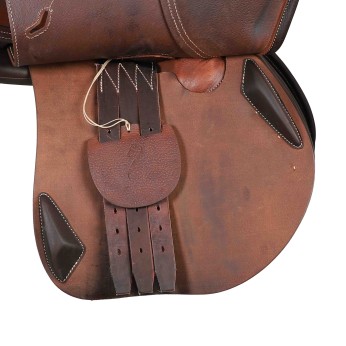 Antarès jumping saddle Evolution-D2  17"5 3A