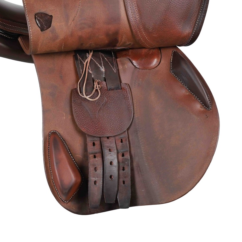 Antarès jumping saddle Evolution-D2 17"5 3N