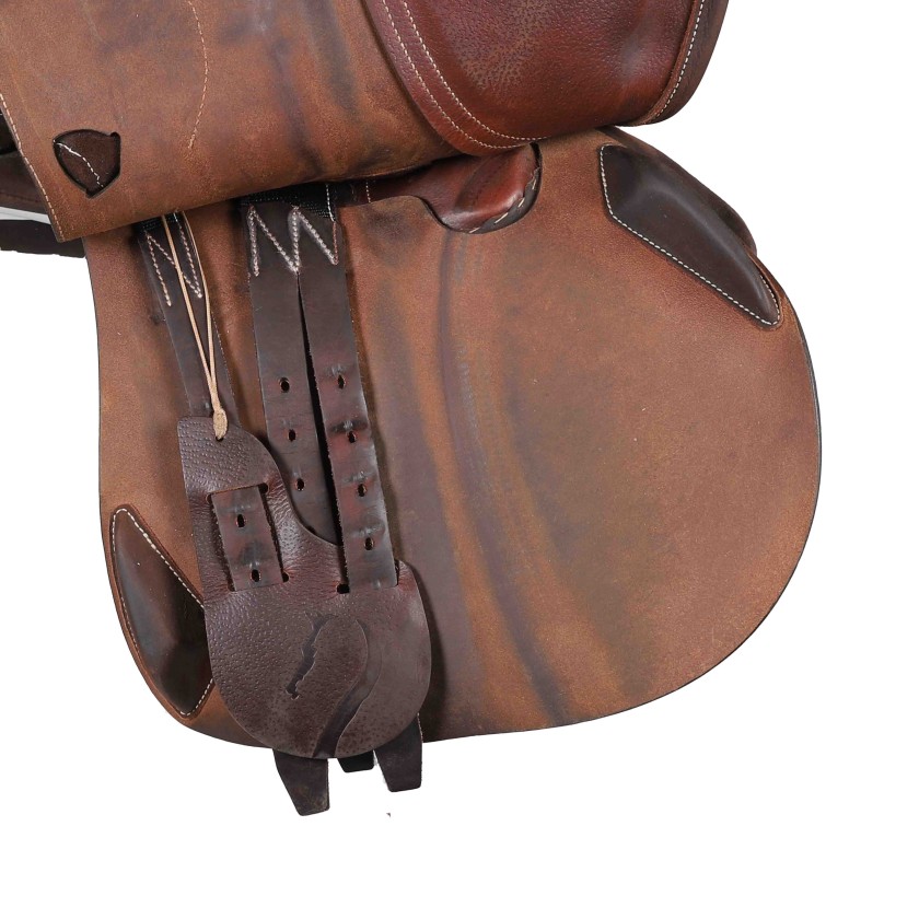 Antarès jumping saddle Evolution-D 17"5 3AAB