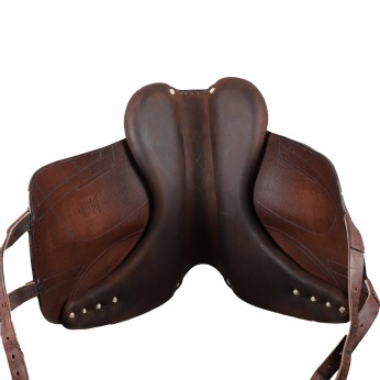 Antarès dressage saddle Tempo+ 17"5 2C